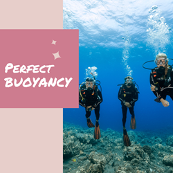 Perfect Buoyancy Digital Kit
